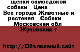 щенки самоедской собаки › Цена ­ 25 000 - Все города Животные и растения » Собаки   . Московская обл.,Жуковский г.